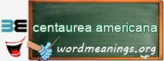 WordMeaning blackboard for centaurea americana